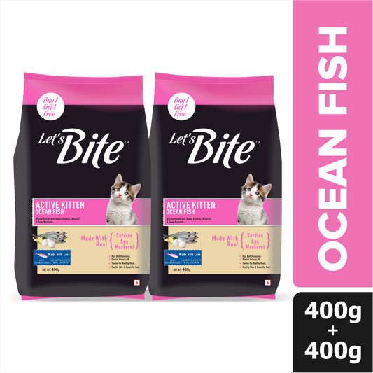 Let's Bite Active Kitten Ocean Fish Dry Cat Food – 800 g (400 g × 2)