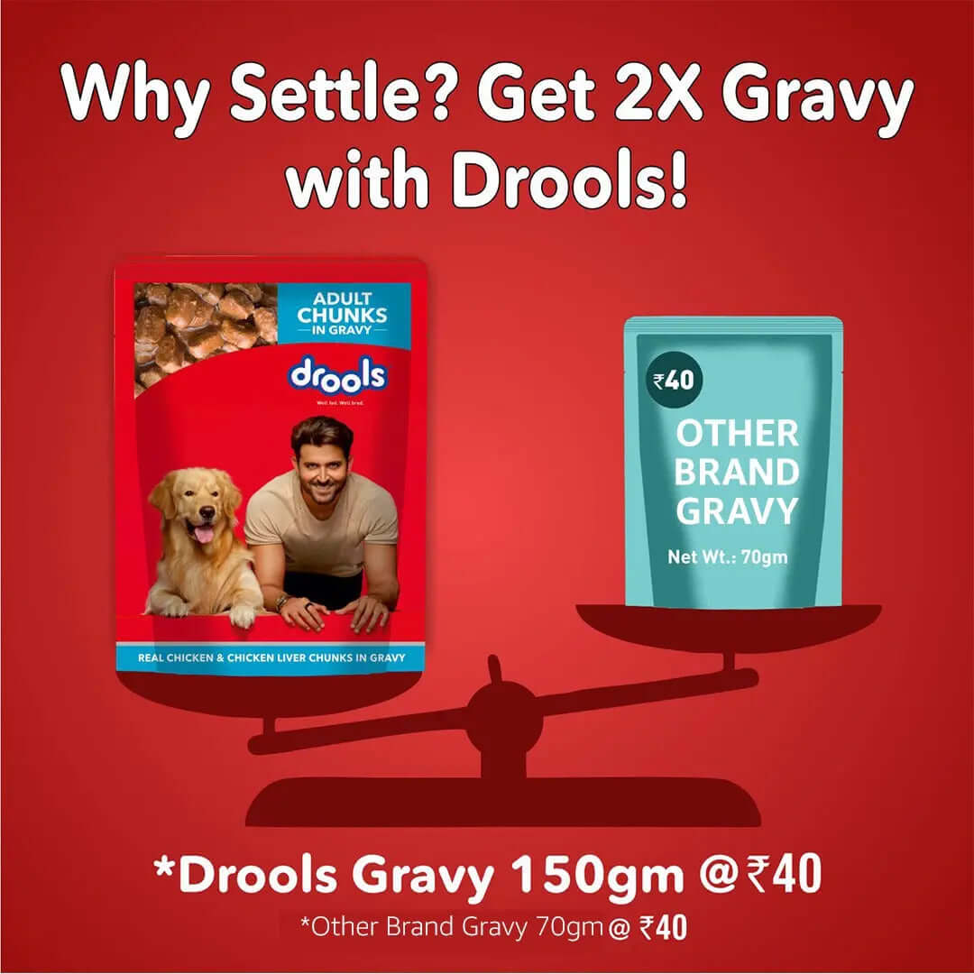 Drools Adult Wet Dog Food – Real Chicken & Chicken Liver in Gravy, 150 g