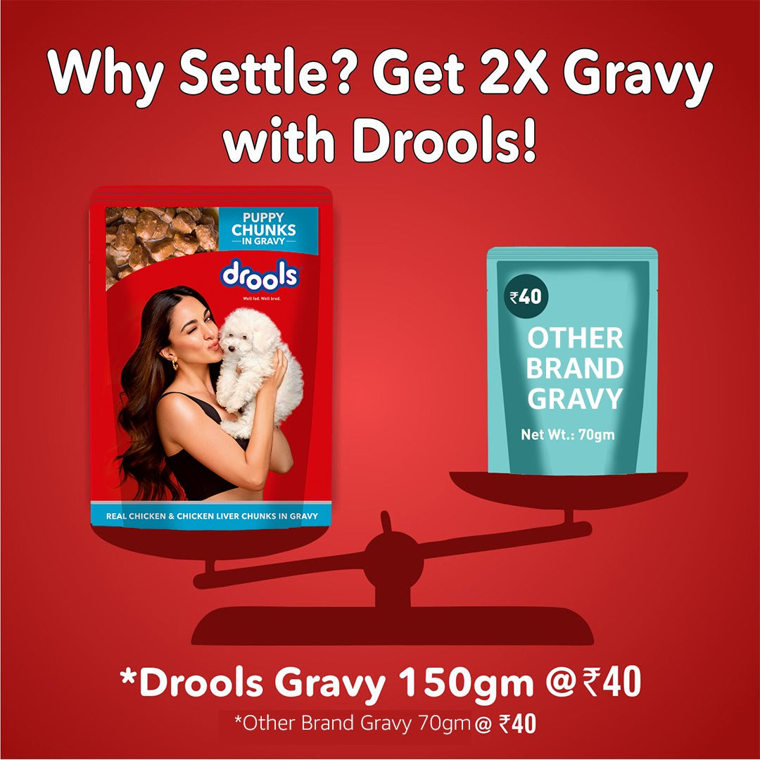 Drools Puppy Wet Dog Food – Real Chicken & Chicken Liver in Gravy, 150 g