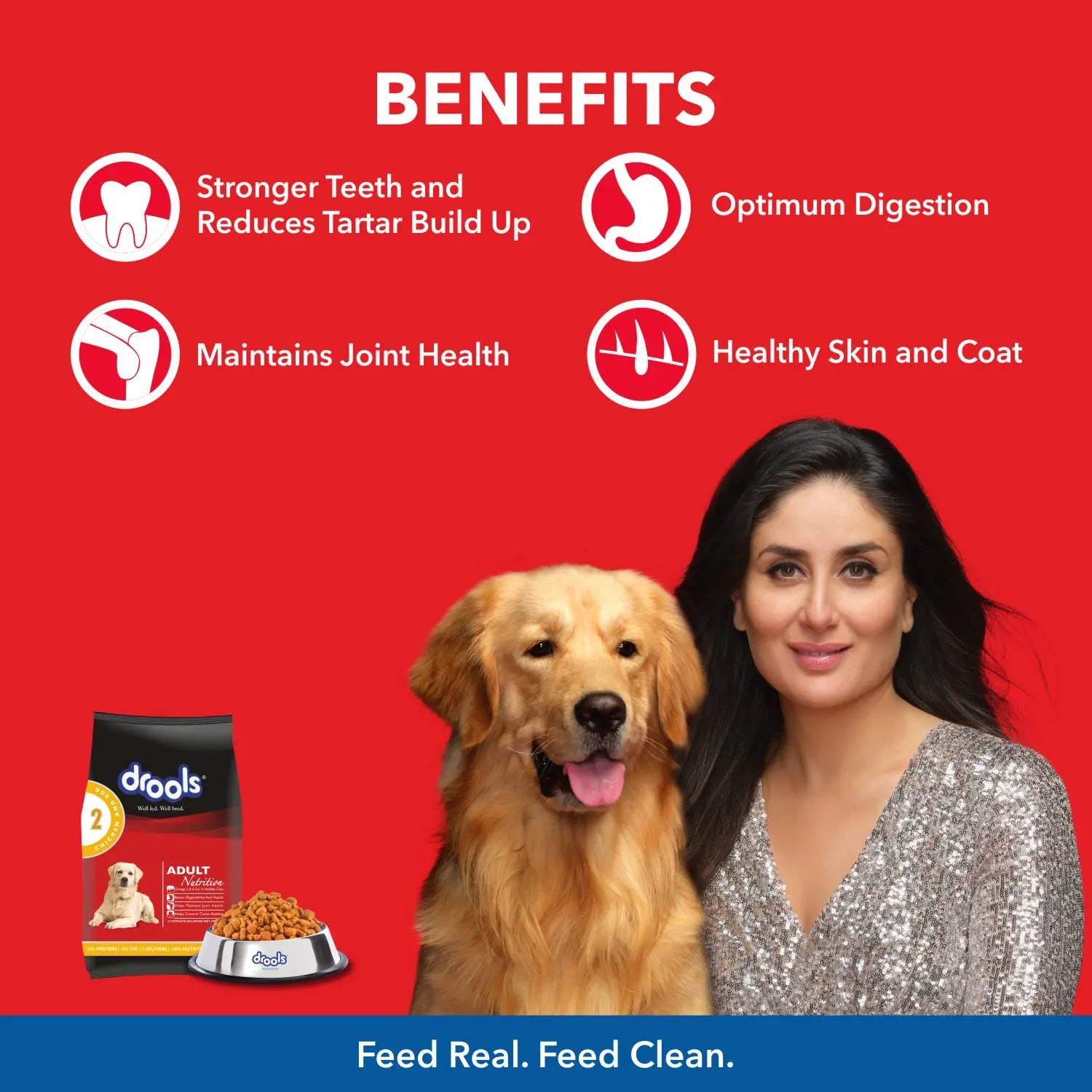 Drools Chicken and Egg Adult Dog Food – 400g