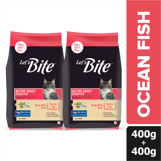 Let's Bite Active Adult Ocean Fish Dry Cat Food – 800 g (400 g × 2)