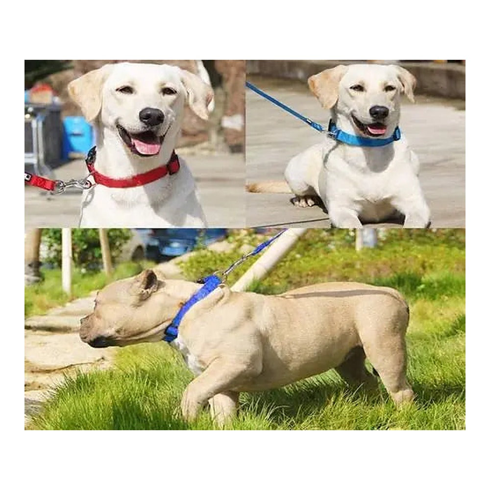 Adjustable Soft Nylon M/L Puppy/Dog Collar with Buckle