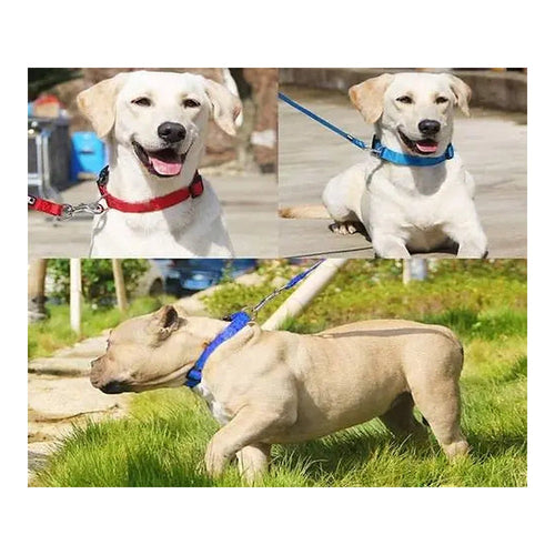 Adjustable Soft Nylon M/L Puppy/Dog Collar with Buckle