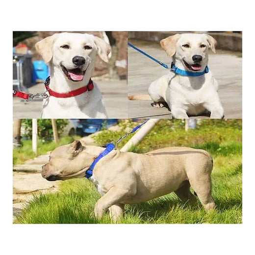 Adjustable Soft Nylon M/L Puppy/Dog Collar with Buckle