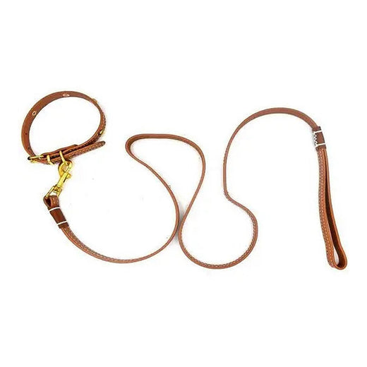 Small Pet Leather Collar & Leash