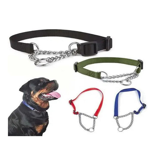 Medium Dog Chained Martingale Collar with Leash