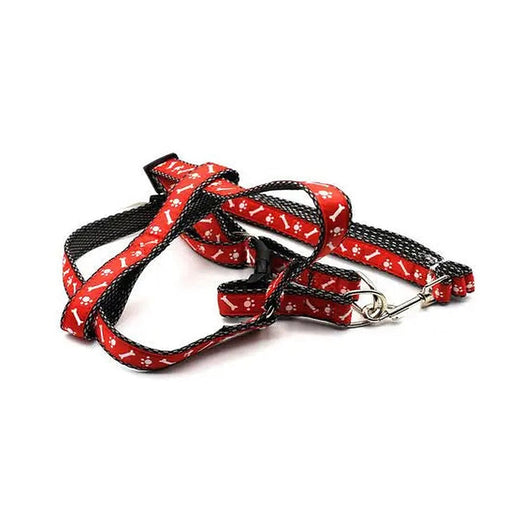 Small Dog Cute Harness with Leash