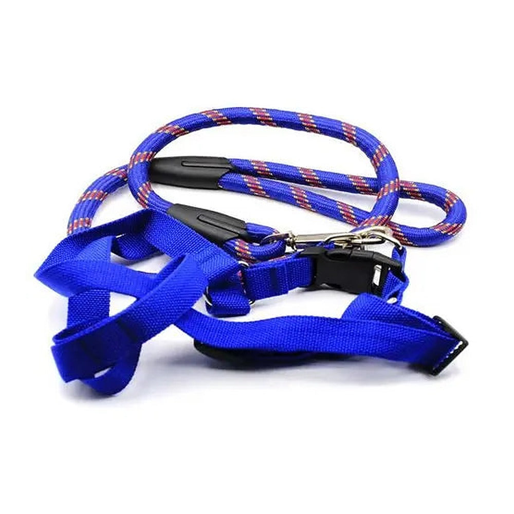 Medium Dog Blue Harness with Leash