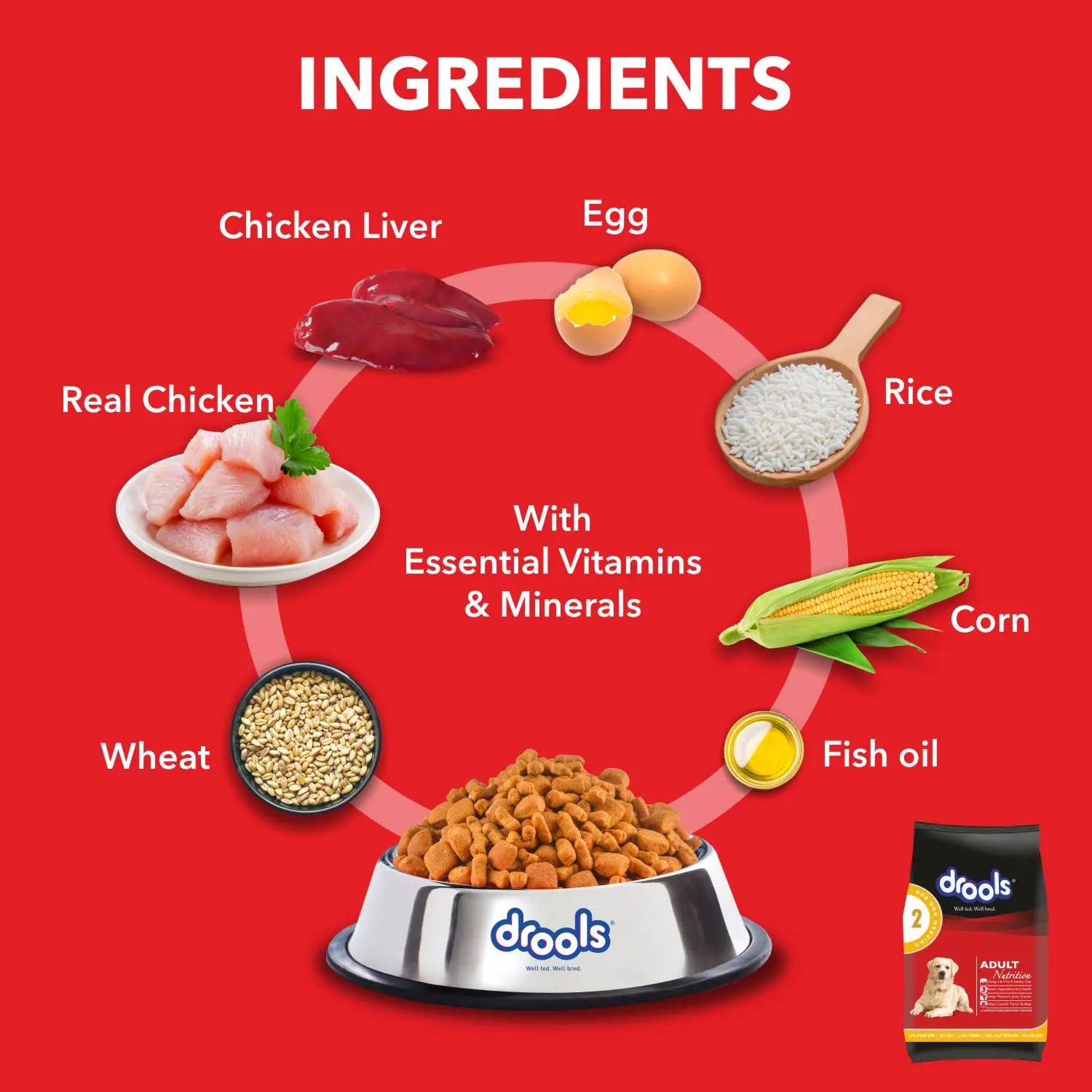 Drools Chicken and Egg Adult Dog Food – 400g
