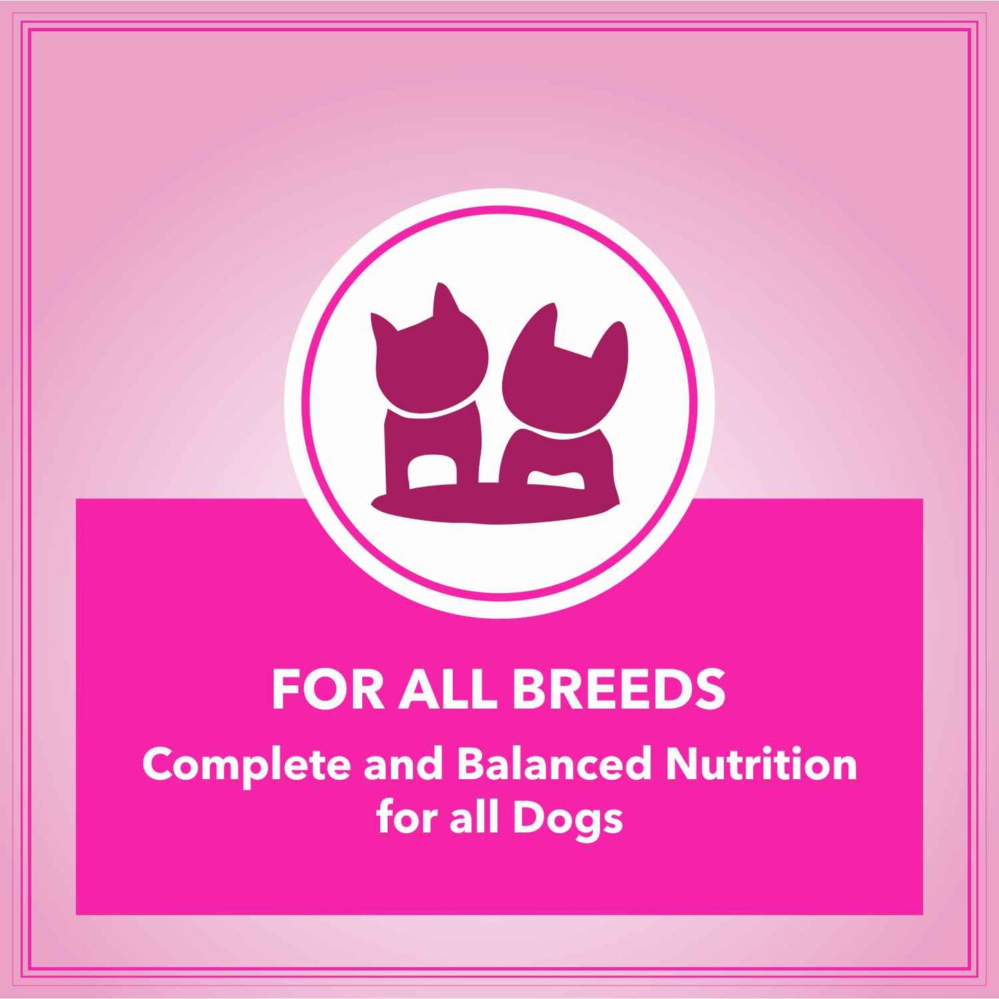 Let's Bite Active Adult Dog Food – 10kg