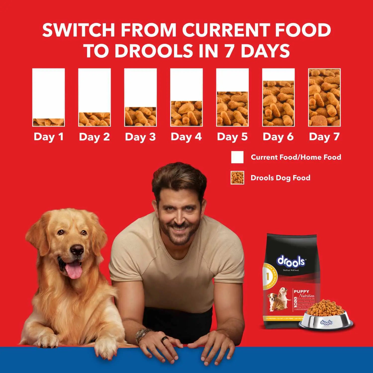 Drools Chicken and Egg Adult Dog Food – 400g