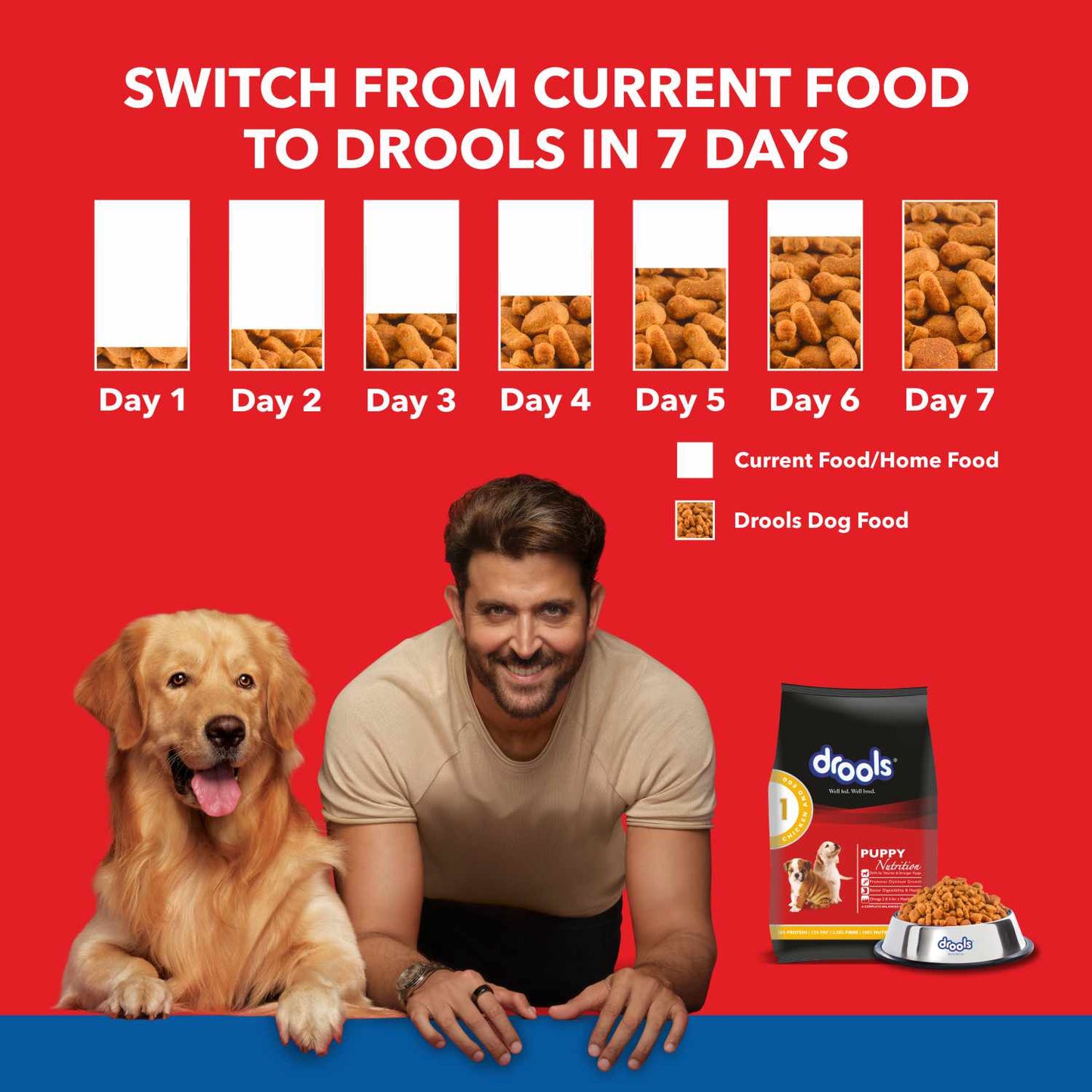 Drools Chicken and Egg Puppy Dog Food – 400g