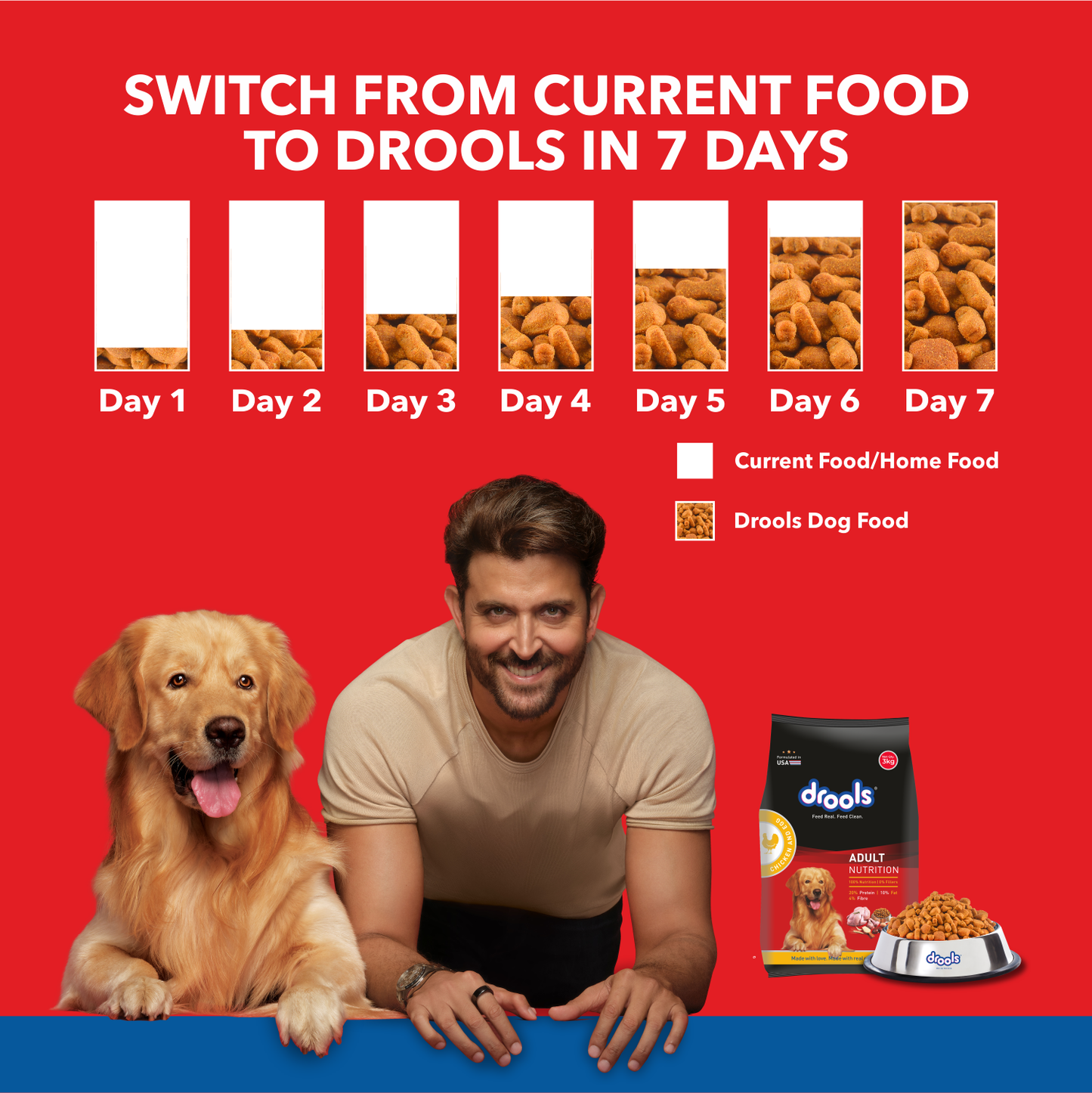 Drools Chicken and Egg Adult Dry Dog Food – 10kg