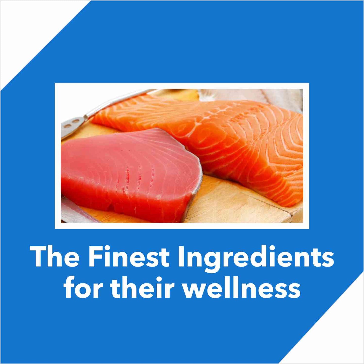 Drools Tuna & Salmon Adult Cat Food – 3kg