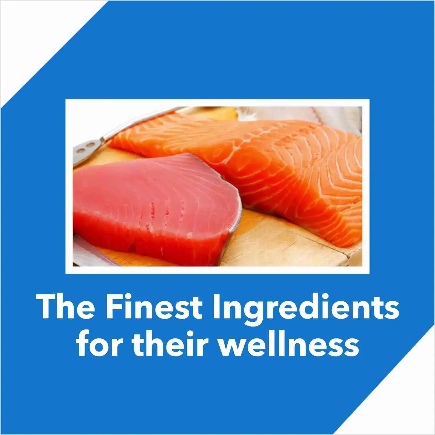 Drools Tuna & Salmon Adult Cat Food – 3kg