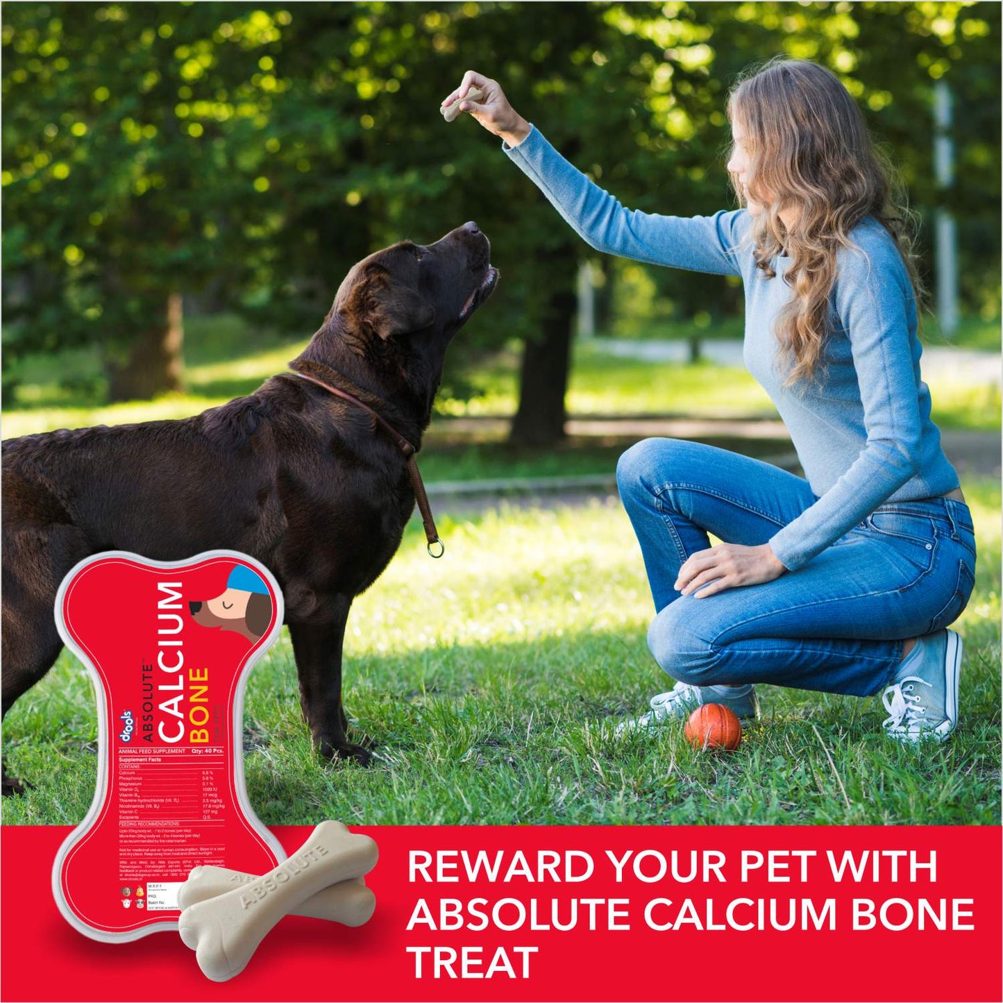 Drools Absolute Calcium Bone Jar – 40 Pieces (600 g)
