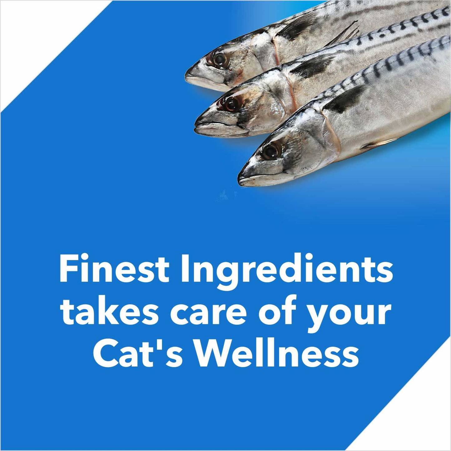 Drools Ocean Fish Adult Cat Food – 7kg