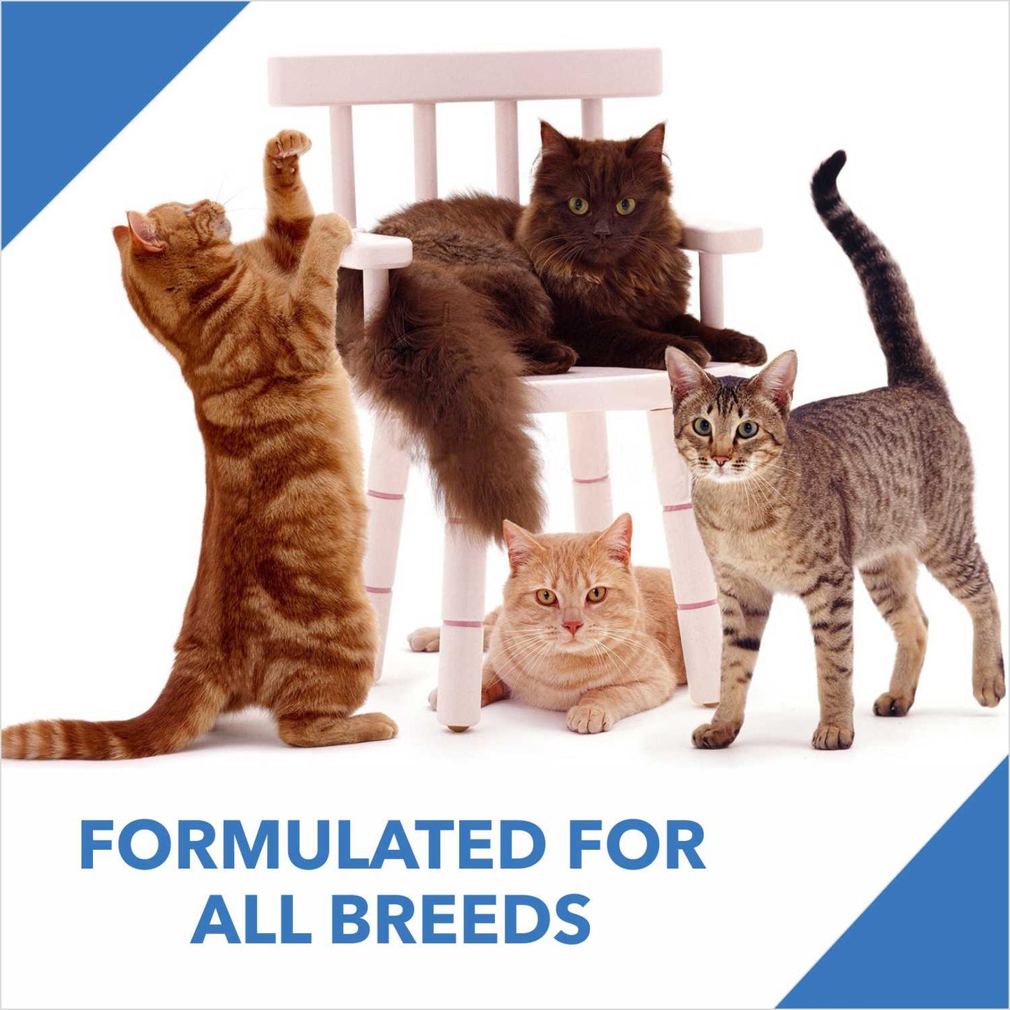 Drools Ocean Fish Adult Cat Food – 7kg