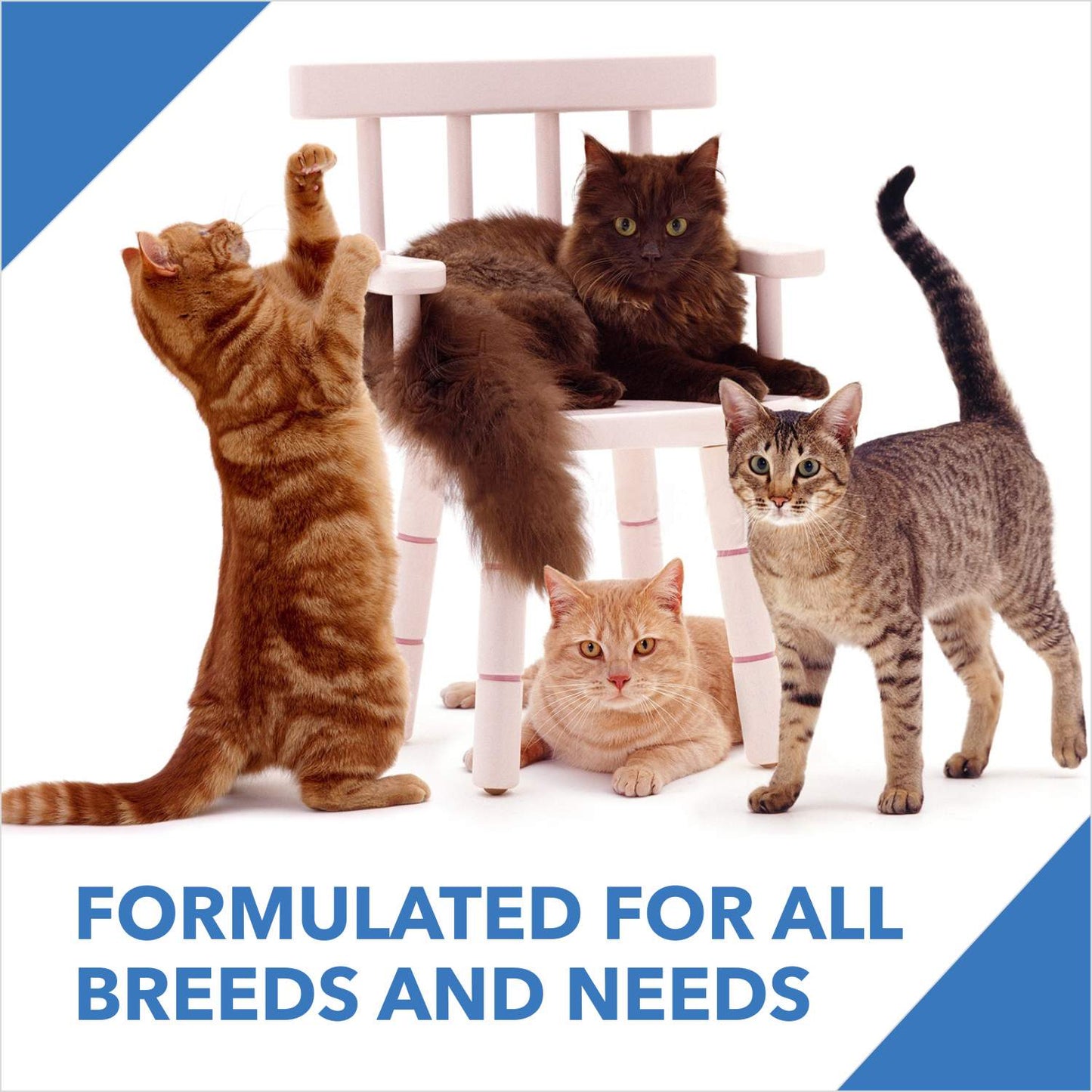 Drools Mackerel Adult Cat Food – 3kg