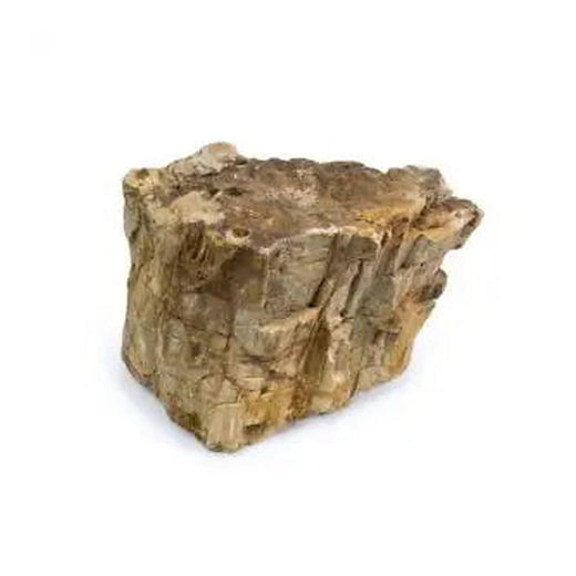 Petrified Wood Stones