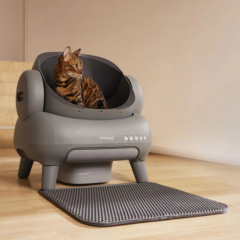 Neakasa M1+ Open-Top Self-Cleaning Cat Litter Box (Gray)