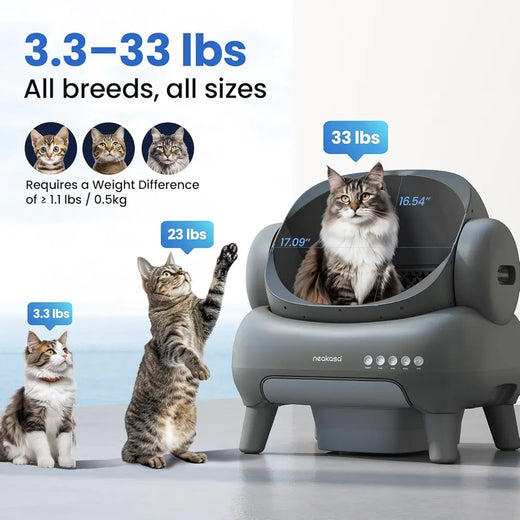 Neakasa M1+ Open-Top Self-Cleaning Cat Litter Box (Gray)