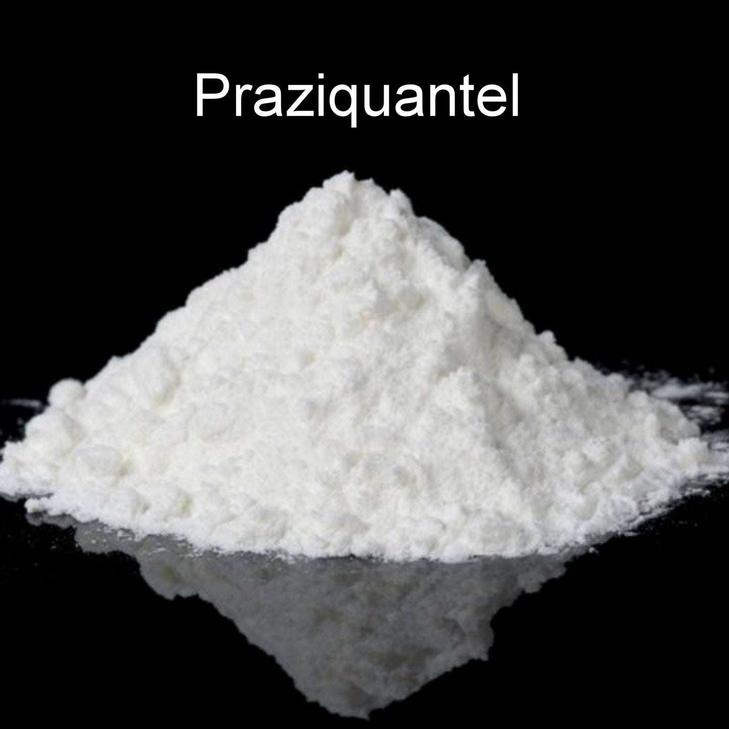 PRAZIQUANTEL (per Gram)