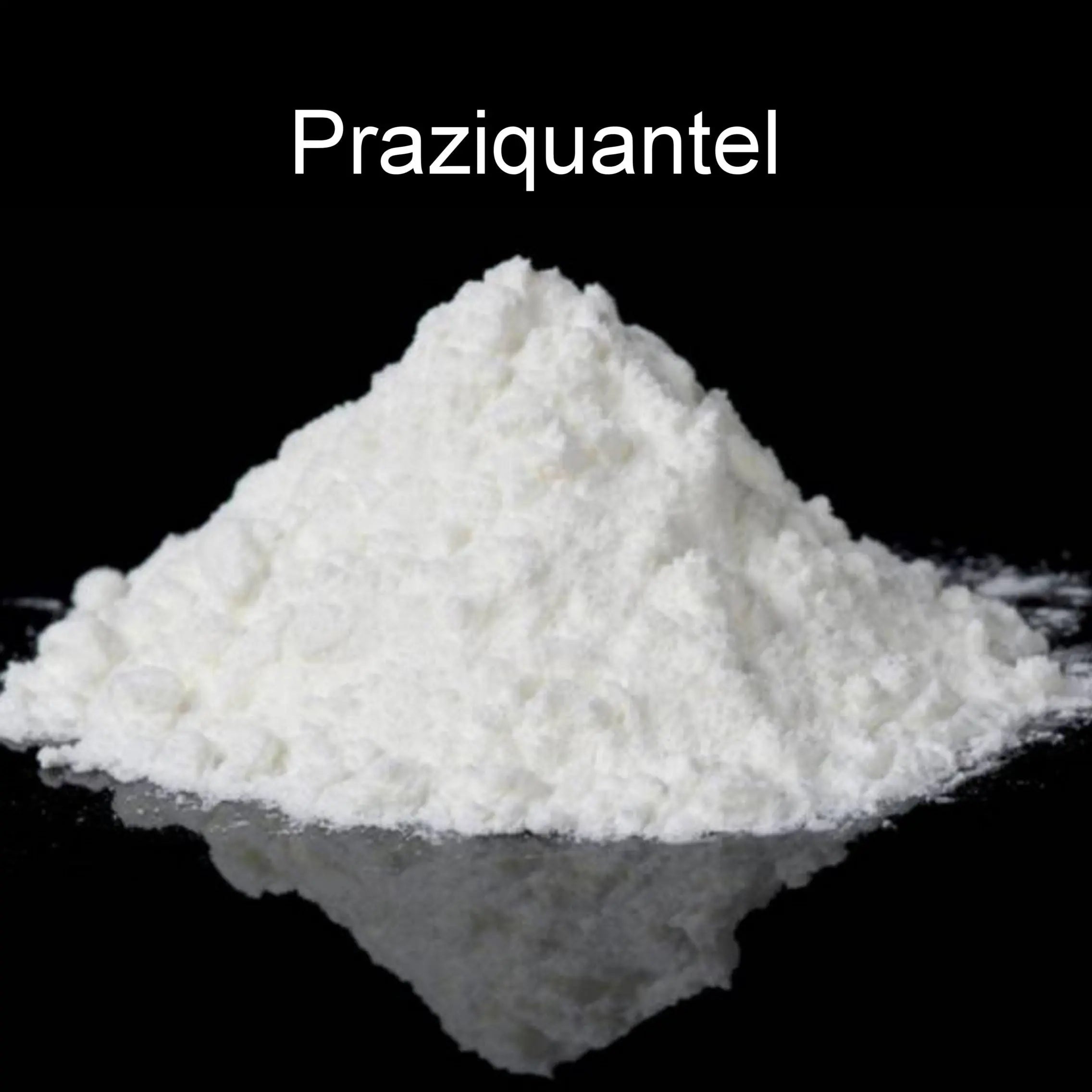 PRAZIQUANTEL (per Gram)