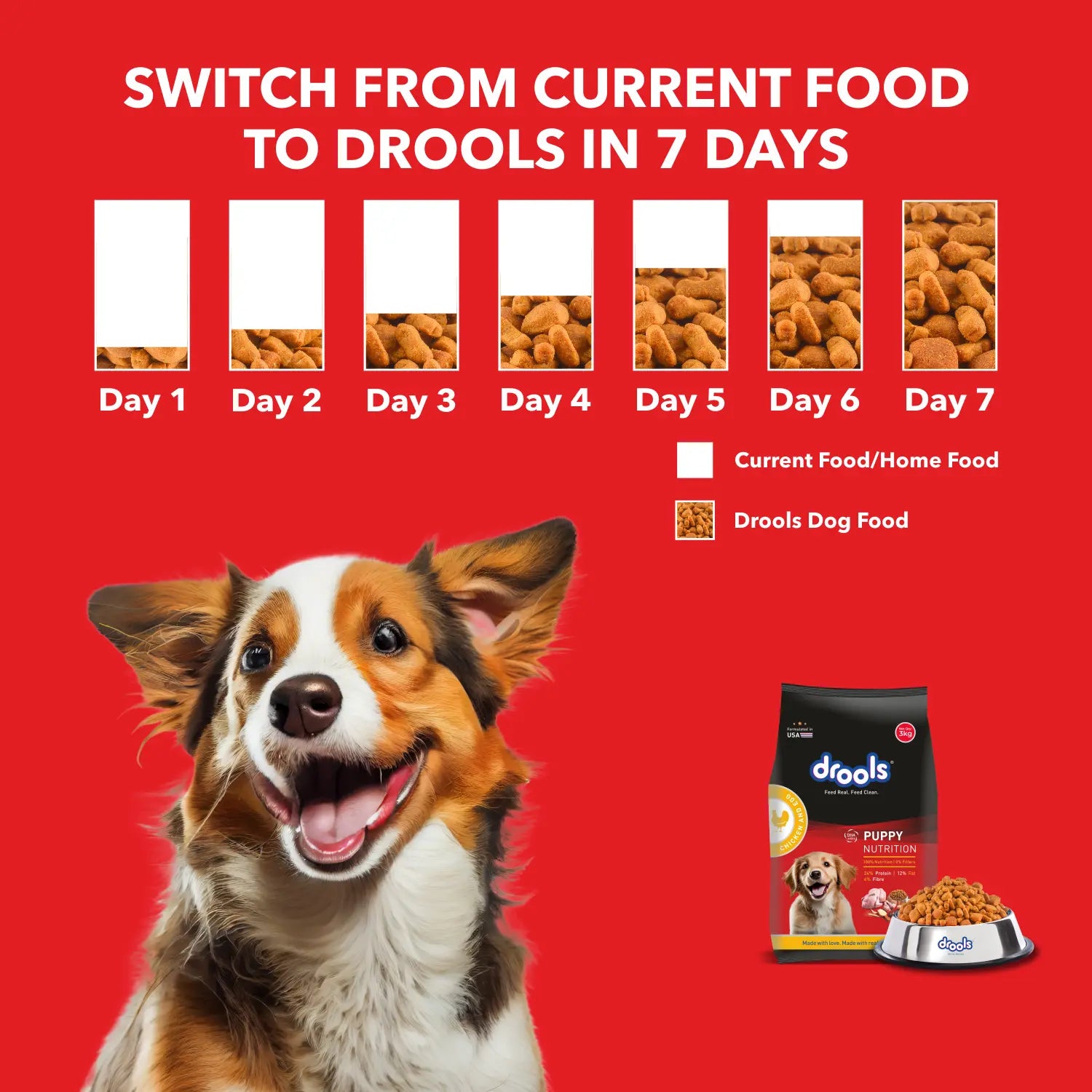 Drools Chicken and Egg Puppy Dry Dog Food – 10kg