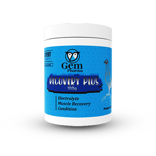 Jar of Gem Pharma Recovery Plus on a white background