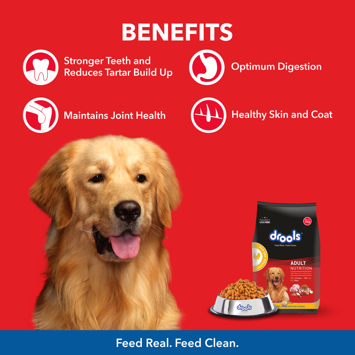Drools Chicken and Egg Adult Dry Dog Food – 10kg