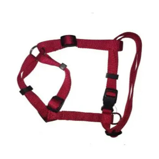Dog Harness (25mm × 45-60cm) - Large pack front