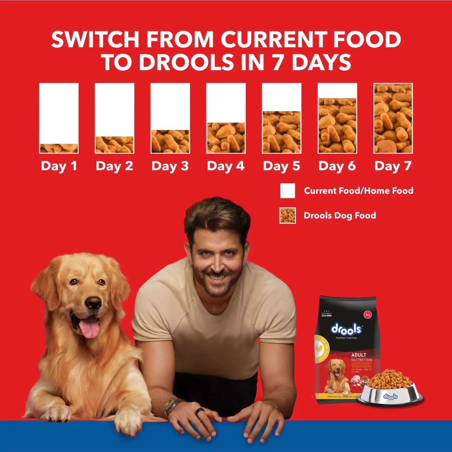 Drools Chicken and Egg Adult Dry Dog Food - 10kg pack front