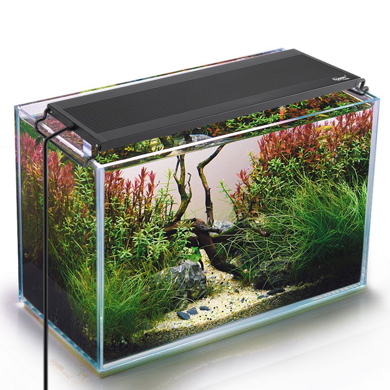 Hygger HG999 moonlight night mode over an aquarium