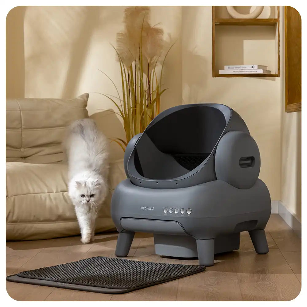 Neakasa M1+ Open-Top Self-Cleaning Cat Litter Box (Gray)