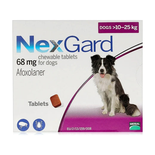 NexGard Chew for Large Dogs 10–25 kg (1 Chew) pack front