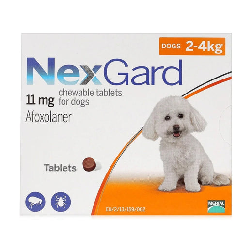 NexGard Flea & Tick Treatment for Small Dogs – 1 Chew (2–4 kg) pack front