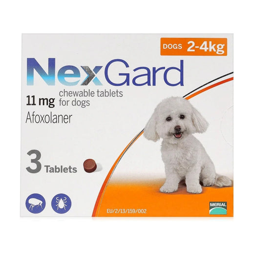 NexGard Flea & Tick Treatment for Small Dogs – 3 Chews (2–4 kg) pack front