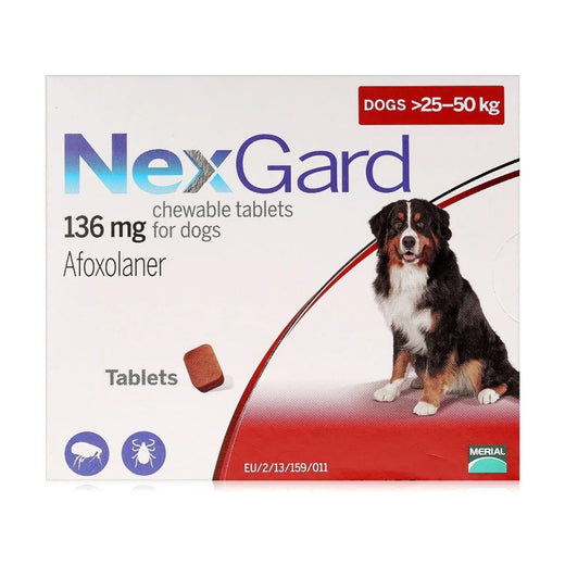 NexGard Chew for Extra Large Dogs 25–50 kg (1 Chew) pack front
