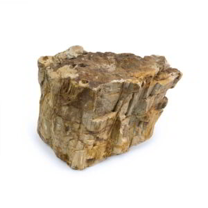Petrified Wood Stones