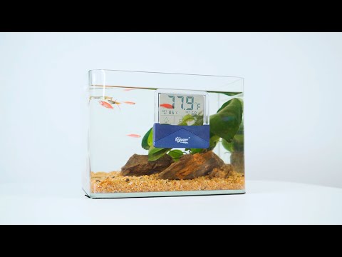 Hygger External Aquarium Thermometer pack front