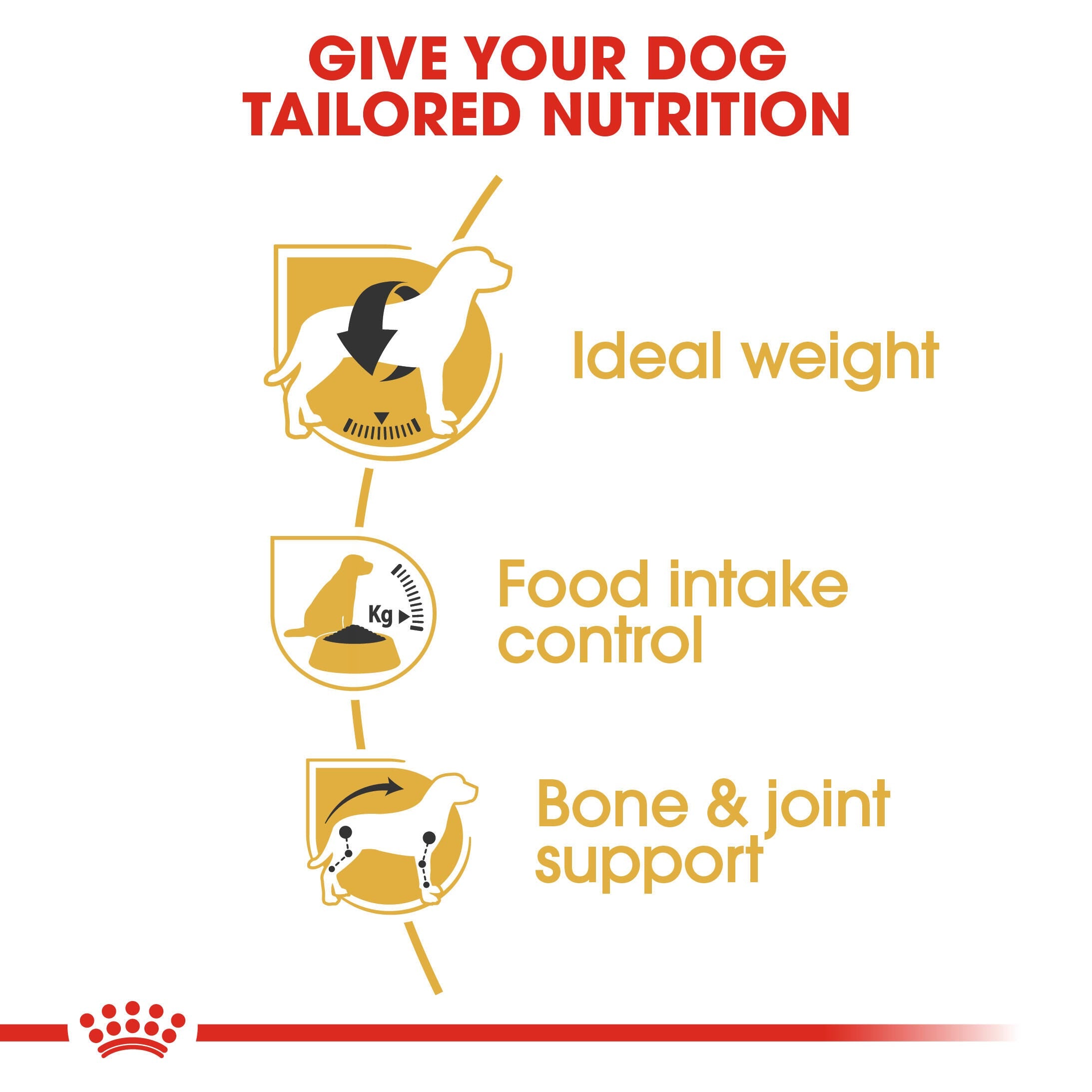 Royal Canin Beagle Adult ideal-weight, food-intake and bone and joint support benefits