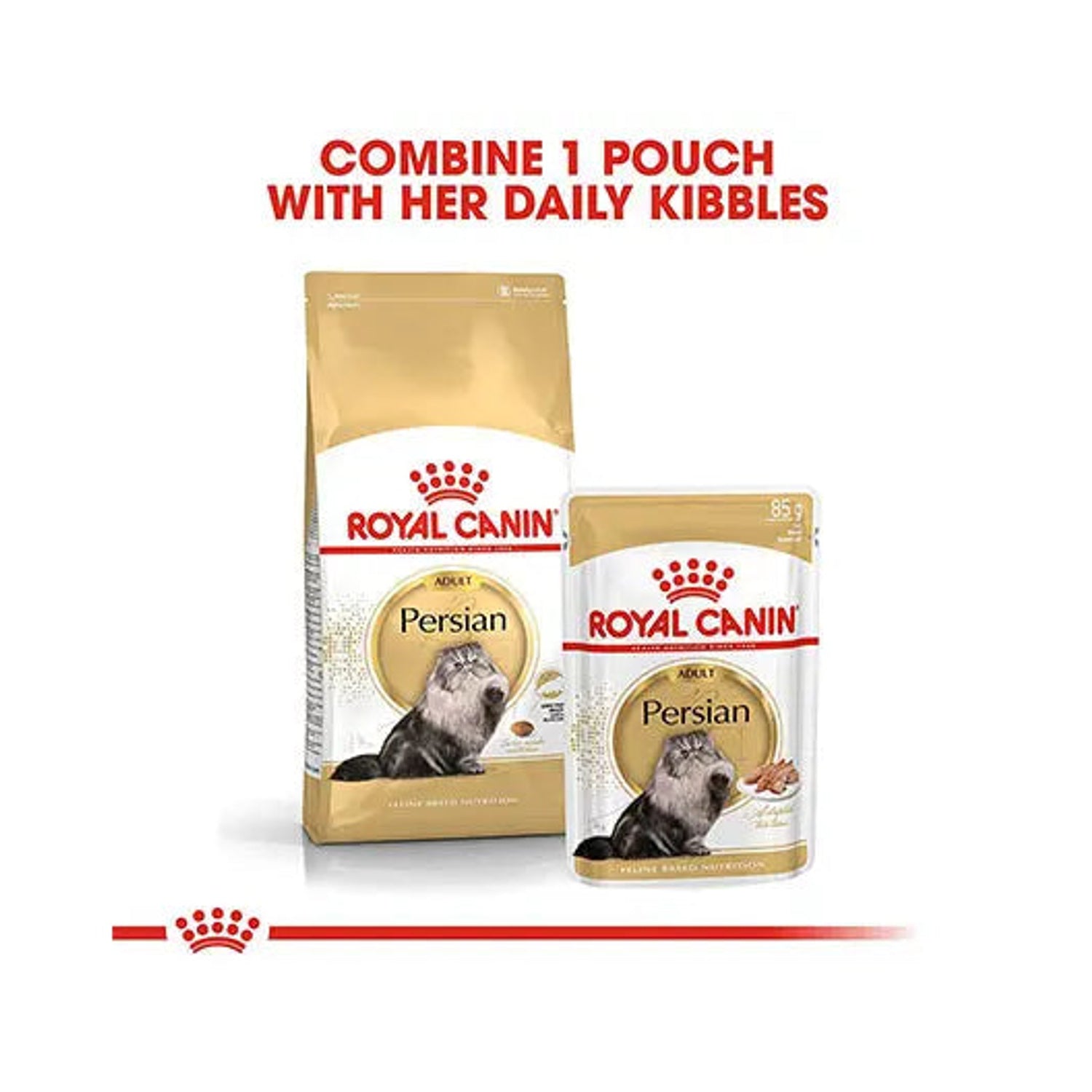 Royal Canin Persian Adult dry food and wet pouch feeding combination