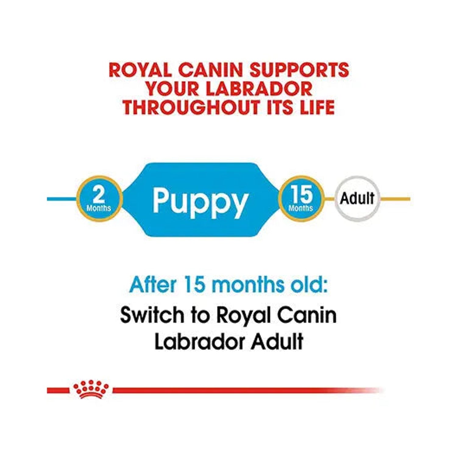 Royal Canin Labrador Puppy life-stage guide from 2 to 15 months