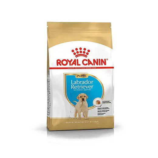 Royal Canin Dry Food 1Kg - Labrador Puppy pack front on white background