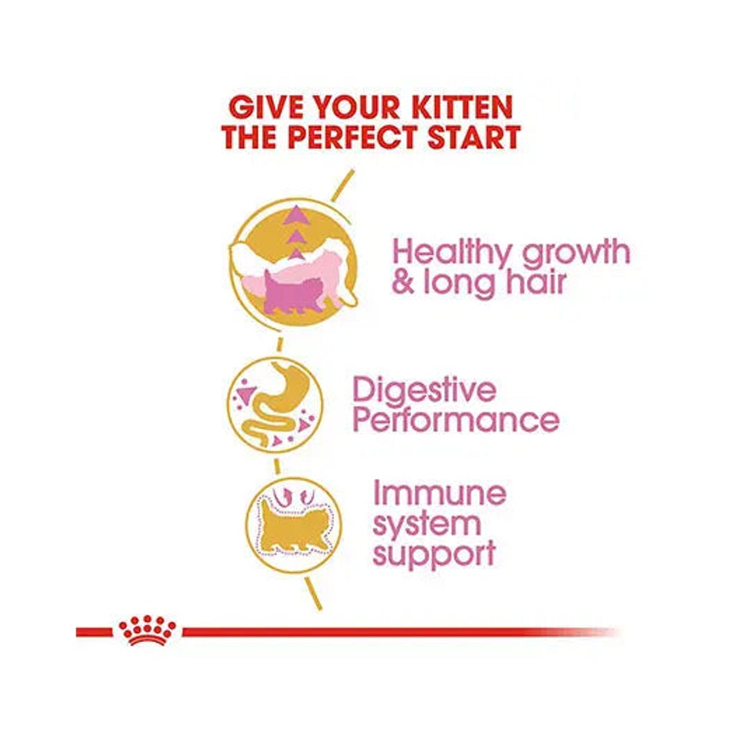 Royal Canin Persian Kitten growth, digestion and immune support benefits