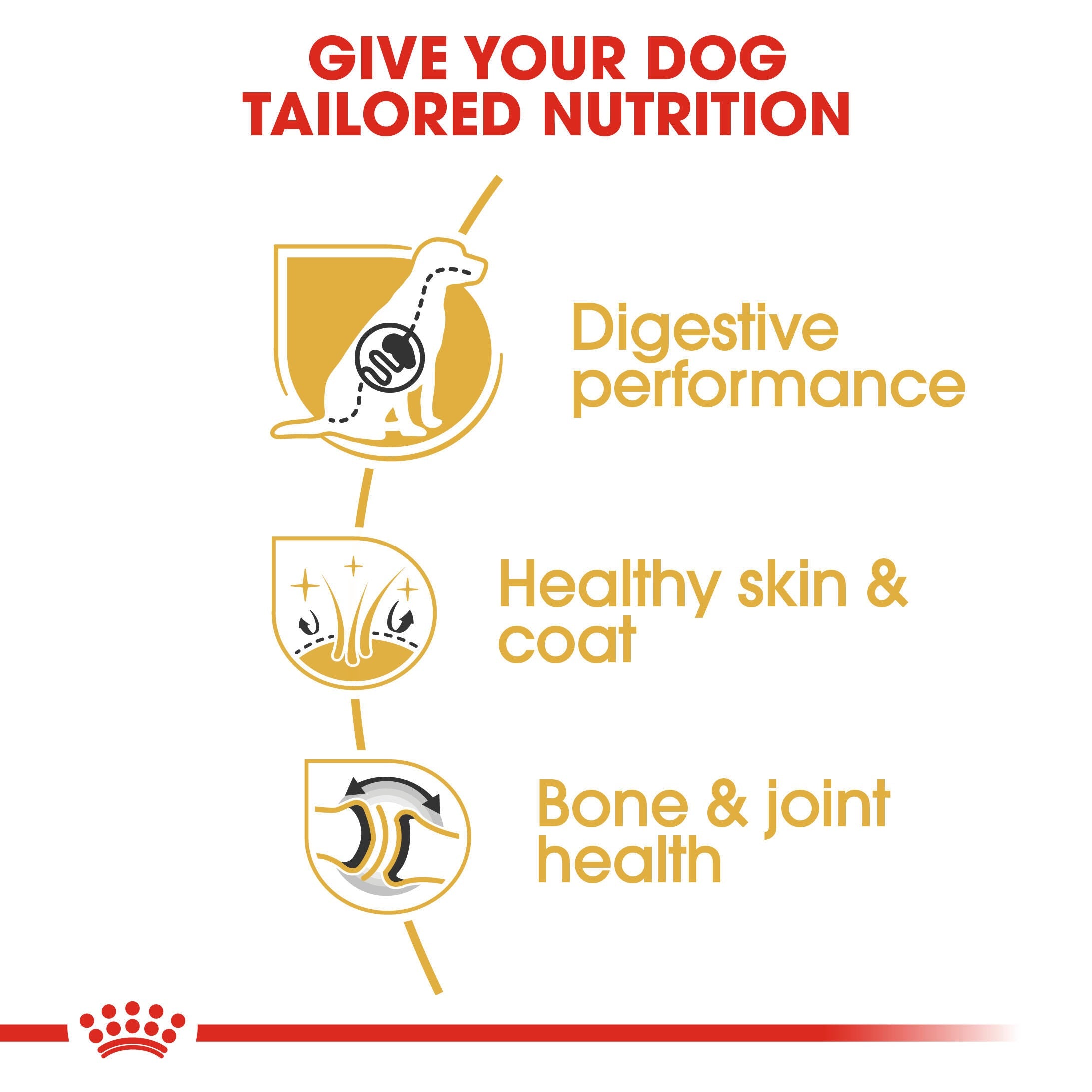 Royal Canin German Shepherd Adult digestive, skin-and-coat and bone-and-joint benefits