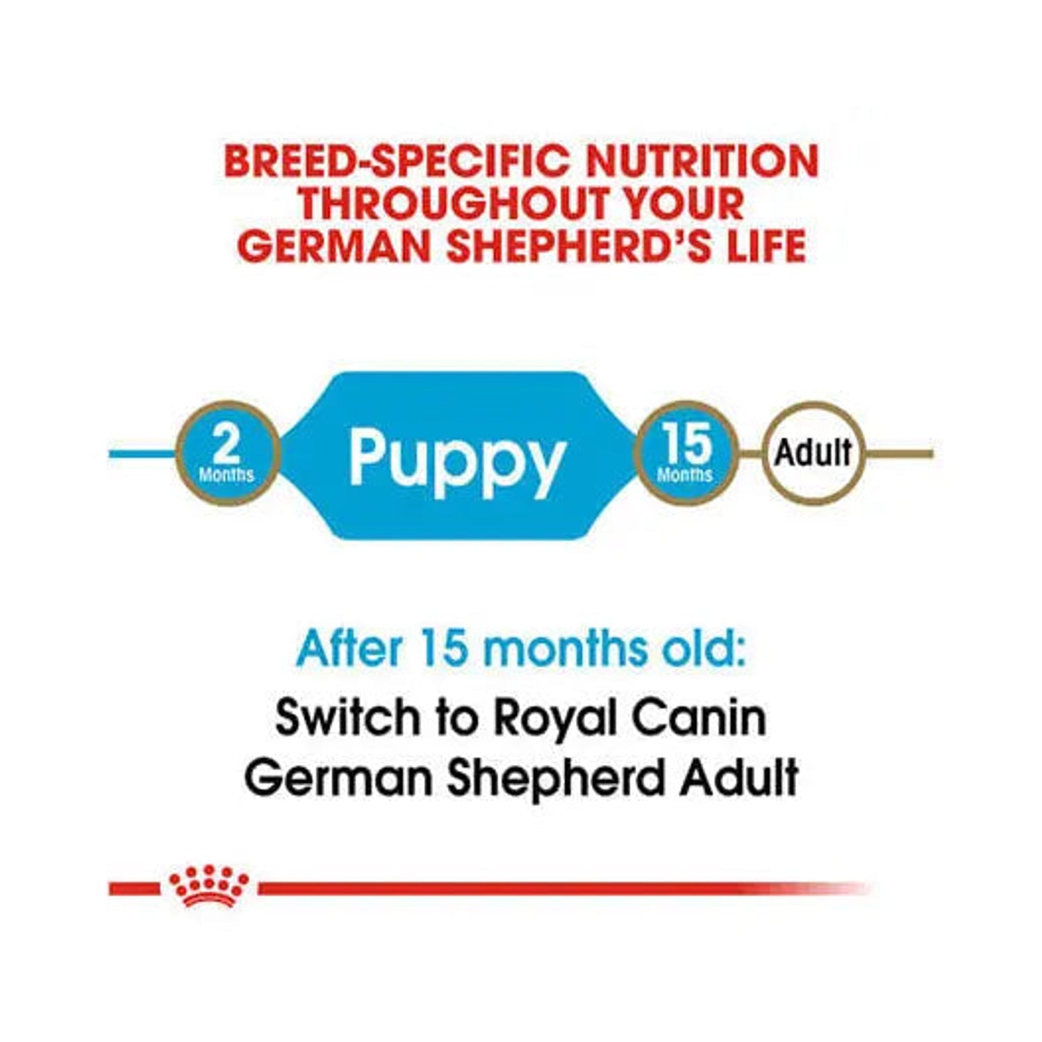 Royal Canin German Shepherd Puppy life-stage guide from 2 to 15 months
