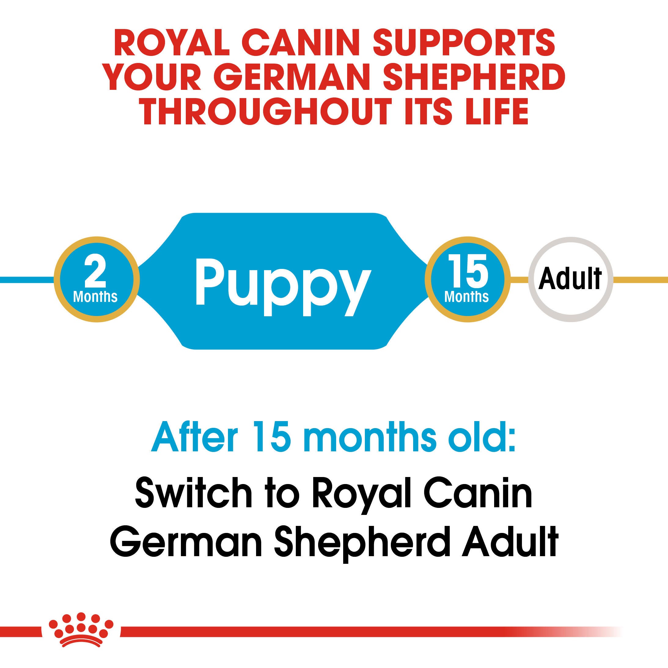 Royal Canin German Shepherd Puppy life-stage guide from 2 to 15 months before adult food