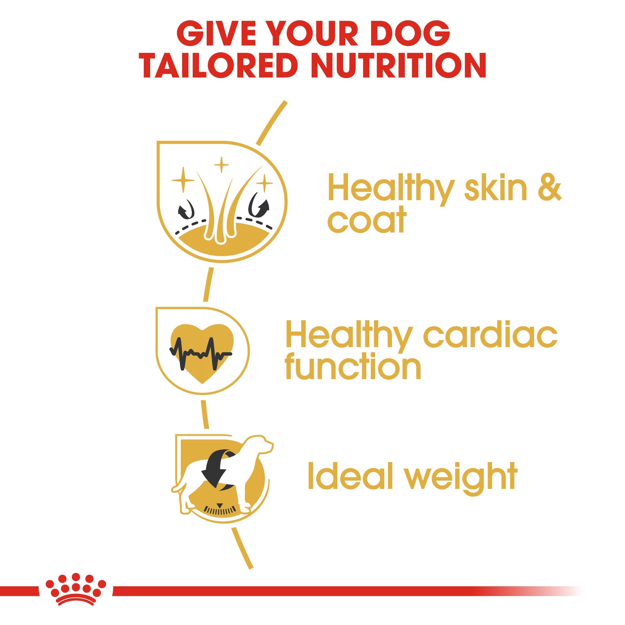 Royal Canin Golden Retriever Adult skin, coat, cardiac function and ideal-weight benefits